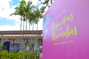 expo orquideas e bromelias pay do alferes 1