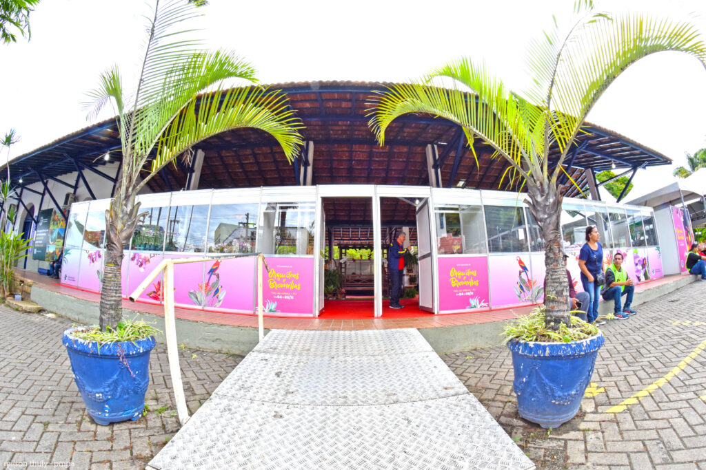 expo orquideas e bromelias pay do alferes 2