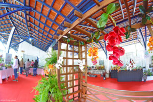 expo orquideas e bromelias pay do alferes 3