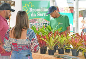 expo orquideas e bromelias pay do alferes 5