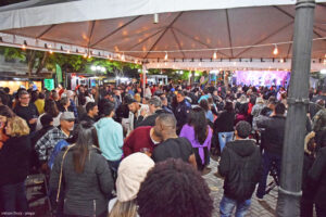 expo orquideas e bromelias pay do alferes 7