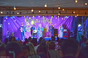 expo orquideas e bromelias pay do alferes 8