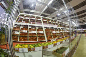 festa do tomate paty do alferes 2